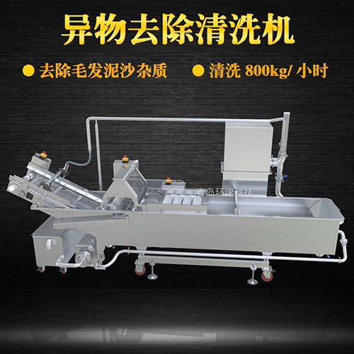 商用專業(yè)果蔬清洗機，氣泡清洗，清洗800kg小時