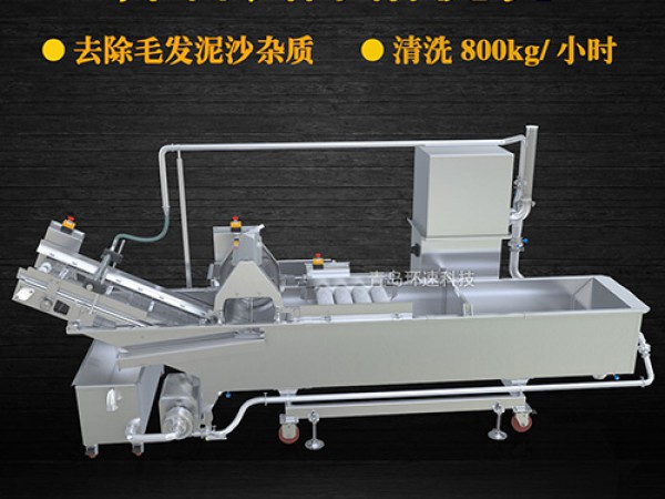 蔬菜清洗機(jī)，氣泡清洗，清洗800kg/小時(shí)