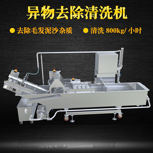 蔬菜清洗機，氣泡清洗，清洗800kg小時